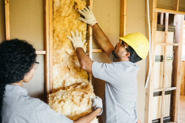 Best Spray Foam Insulation  in Lake Helen, FL